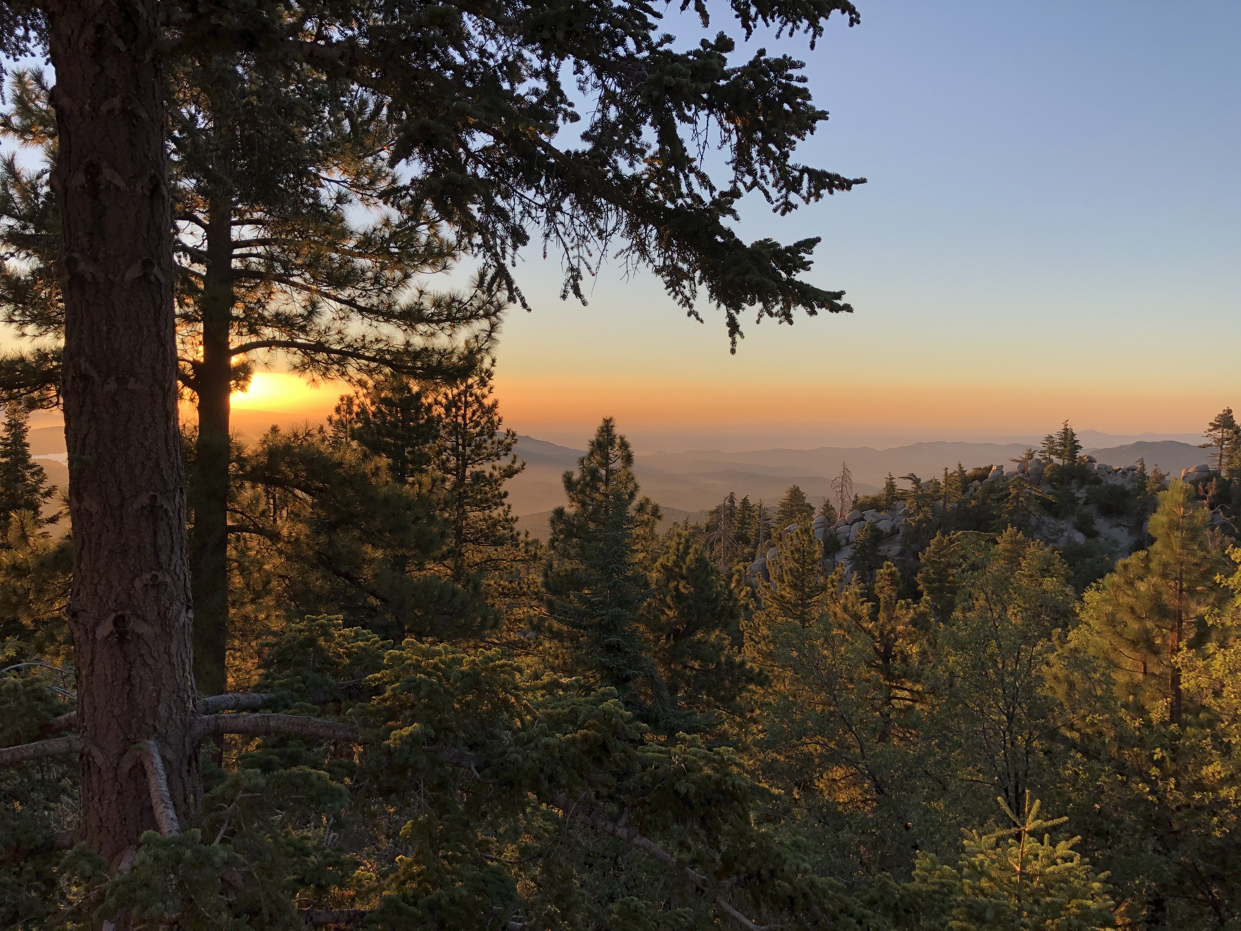 Sunset through pines over the mountains at Green Valley Lake